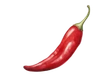 chilli